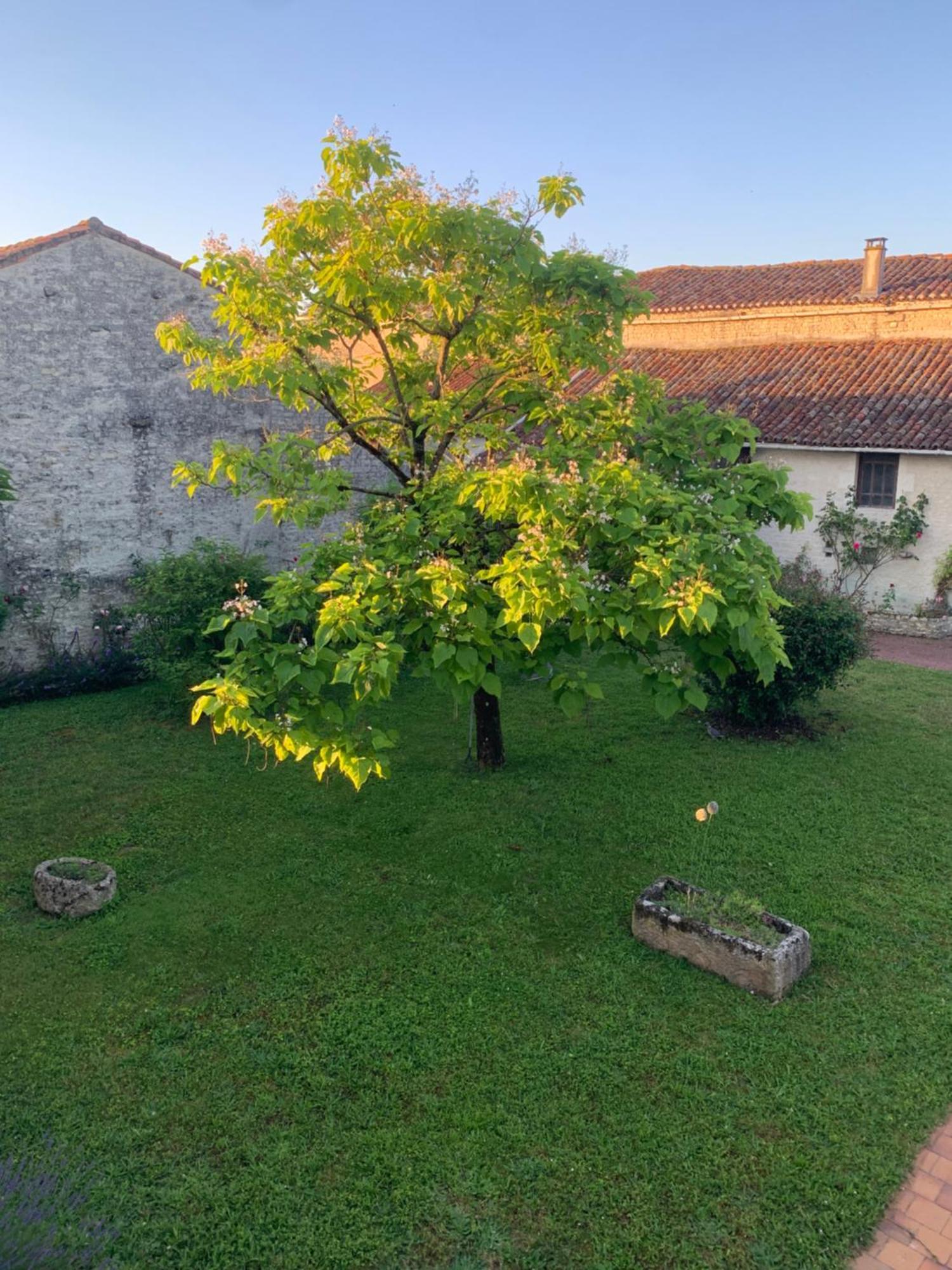 Bed and Breakfast The Cool Lounge A Coulonges - Charente Zewnętrze zdjęcie