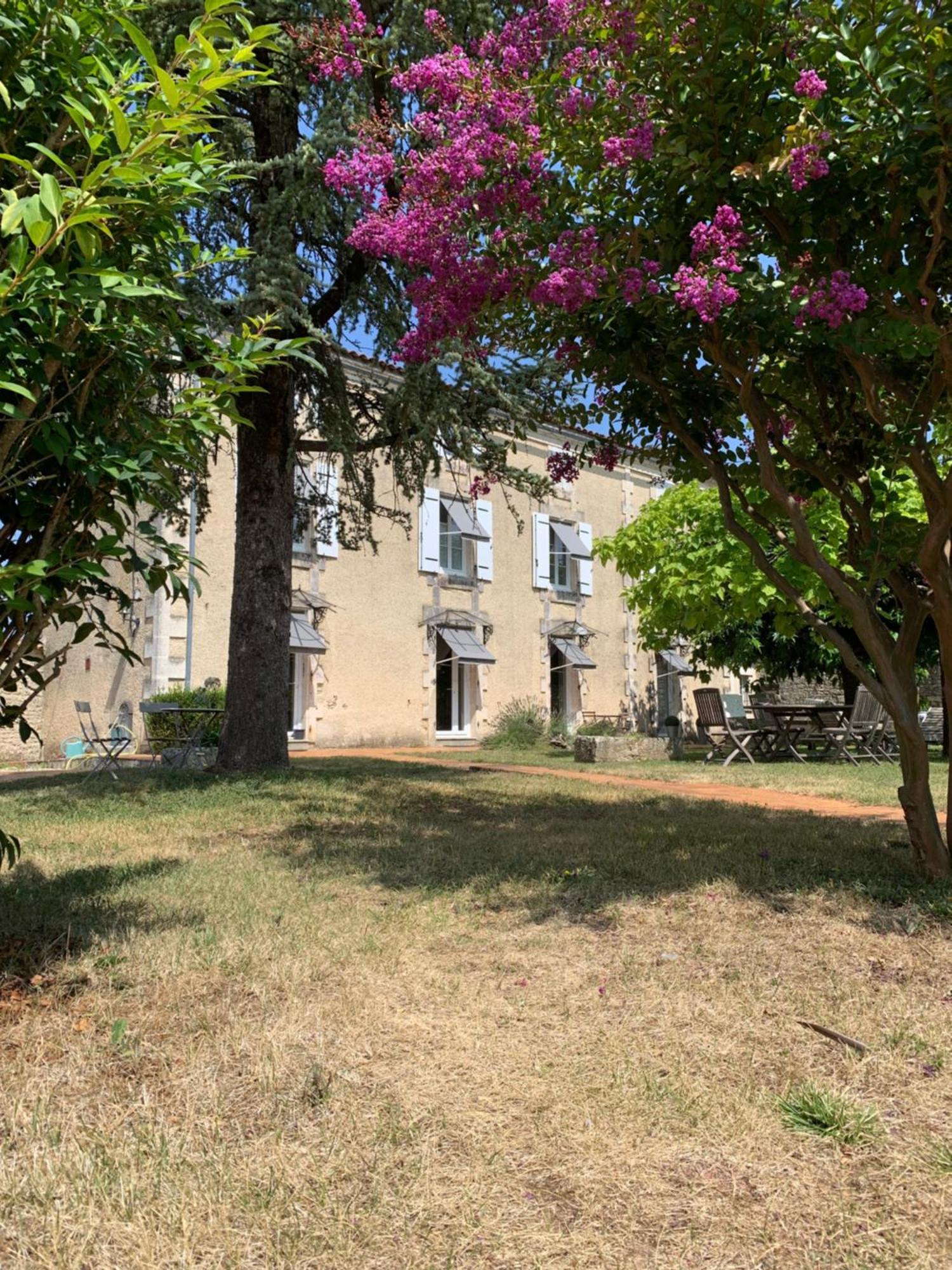 Bed and Breakfast The Cool Lounge A Coulonges - Charente Zewnętrze zdjęcie