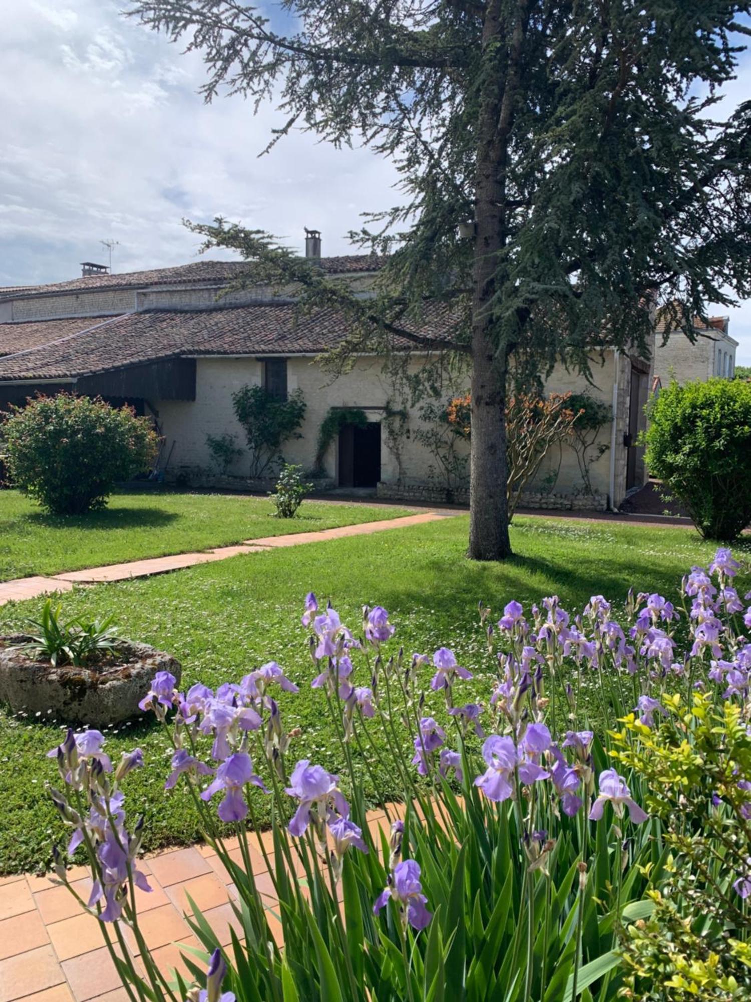 Bed and Breakfast The Cool Lounge A Coulonges - Charente Zewnętrze zdjęcie